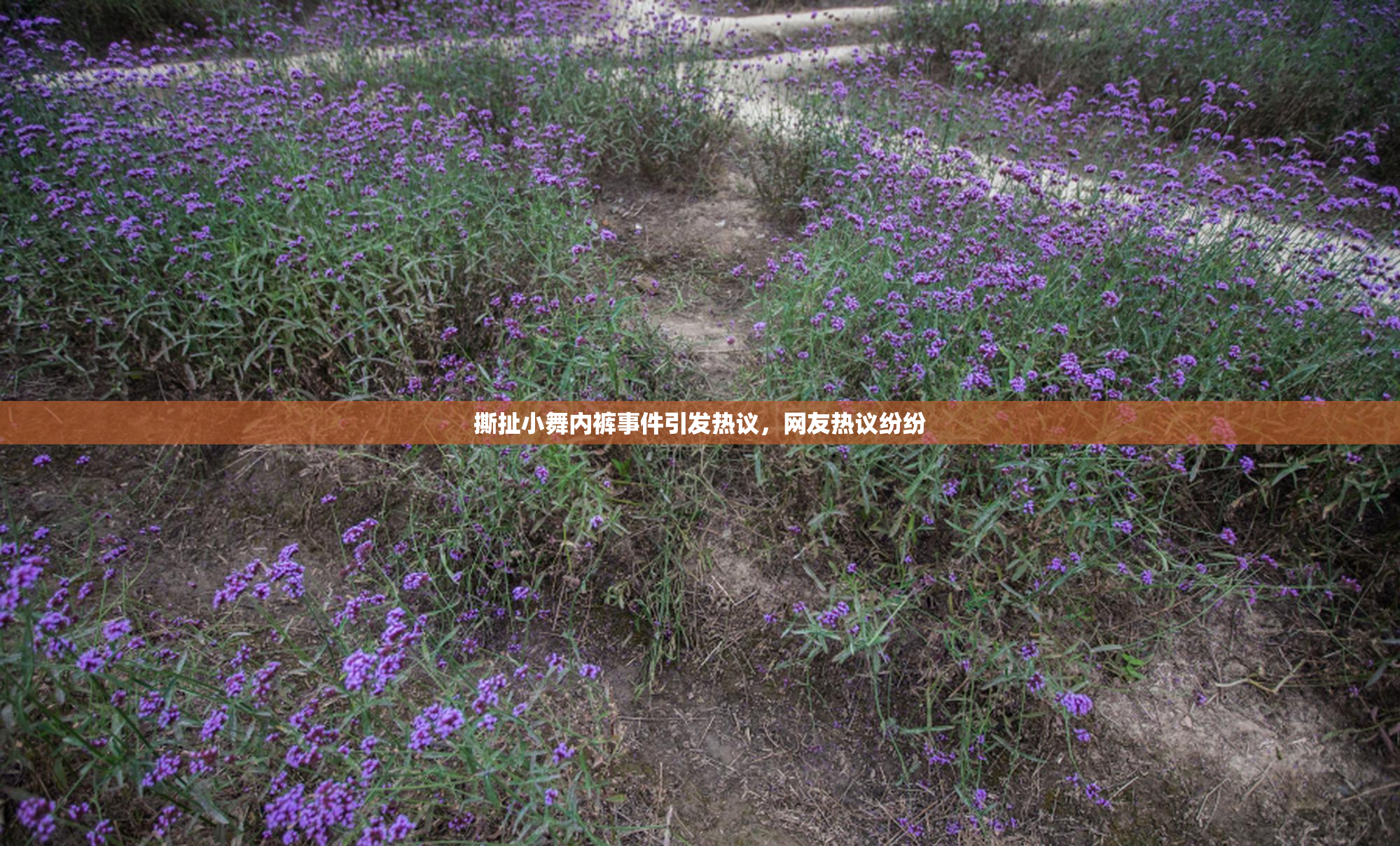 撕扯小舞内裤事件引发热议，网友热议纷纷