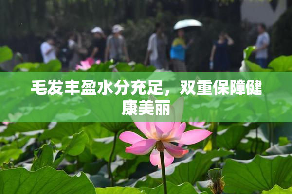 毛发丰盈水分充足，双重保障健康美丽