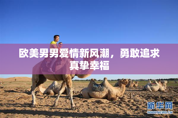 欧美男男爱情新风潮，勇敢追求真挚幸福