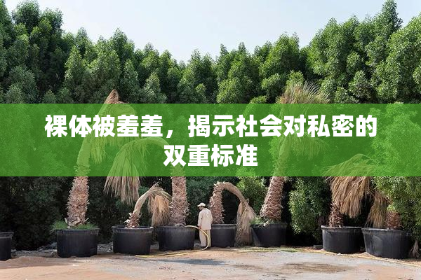 裸体被羞羞，揭示社会对私密的双重标准