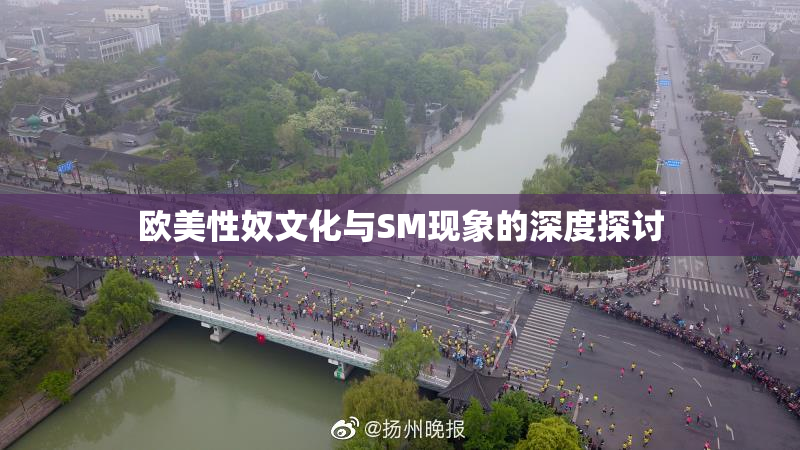 欧美性奴文化与SM现象的深度探讨