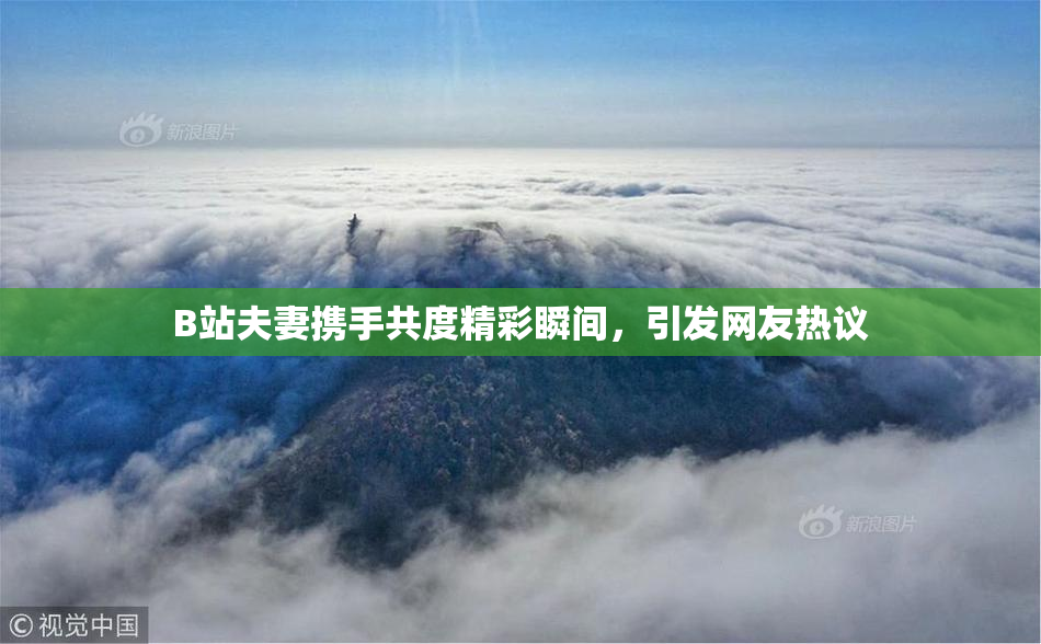 B站夫妻携手共度精彩瞬间，引发网友热议