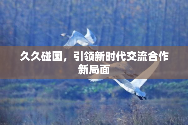 久久碰国，引领新时代交流合作新局面