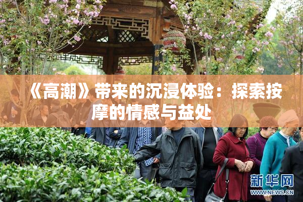 《高潮》带来的沉浸体验：探索按摩的情感与益处
