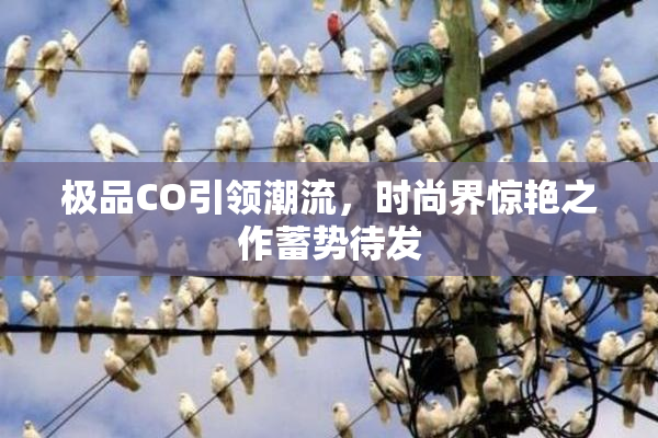 极品CO引领潮流，时尚界惊艳之作蓄势待发