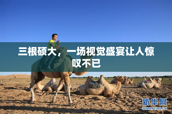 三根硕大，一场视觉盛宴让人惊叹不已