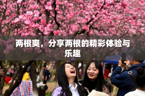 两根爽，分享两根的精彩体验与乐趣