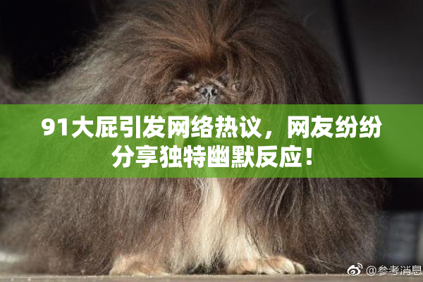 91大屁引发网络热议，网友纷纷分享独特幽默反应！