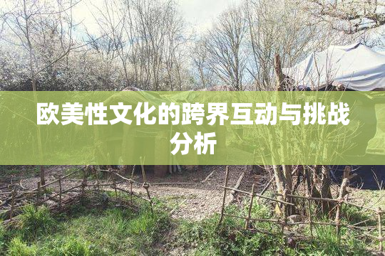 欧美性文化的跨界互动与挑战分析