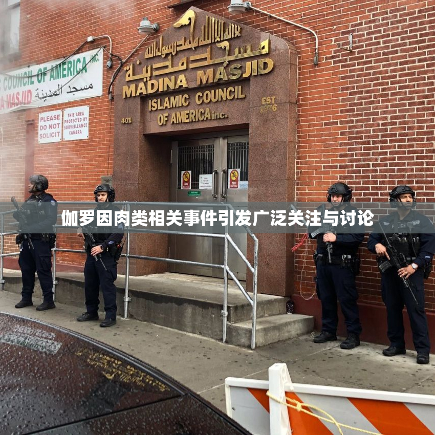 伽罗因肉类相关事件引发广泛关注与讨论