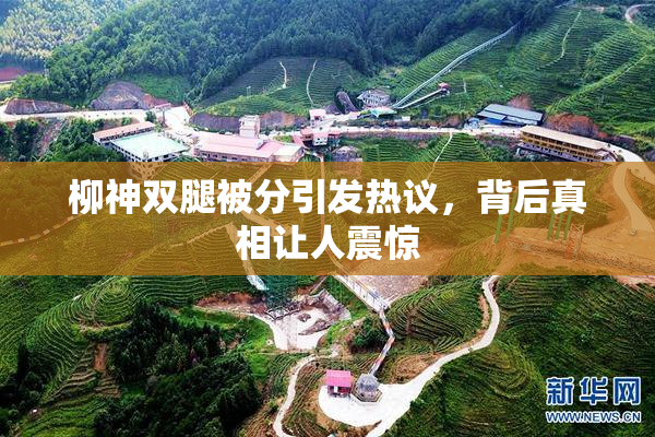 柳神双腿被分引发热议，背后真相让人震惊