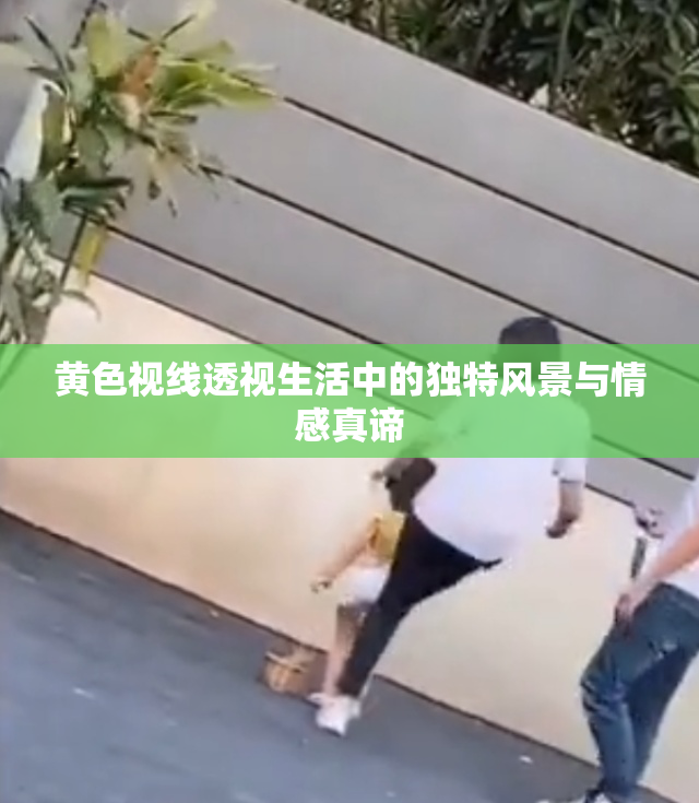 黄色视线透视生活中的独特风景与情感真谛
