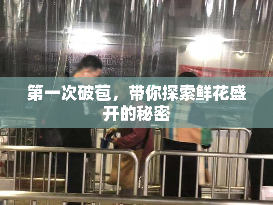 第一次破苞，带你探索鲜花盛开的秘密