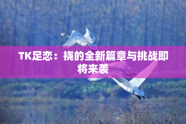 TK足恋：挠的全新篇章与挑战即将来袭