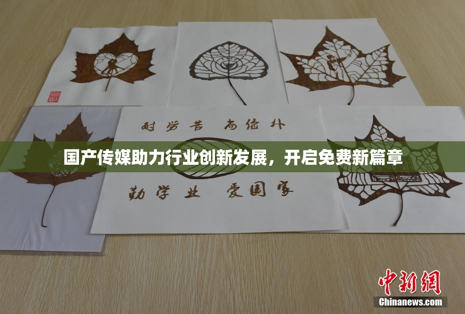 国产传媒助力行业创新发展，开启免费新篇章