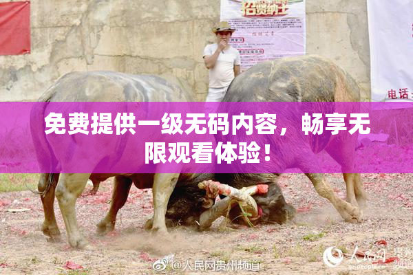 免费提供一级无码内容，畅享无限观看体验！