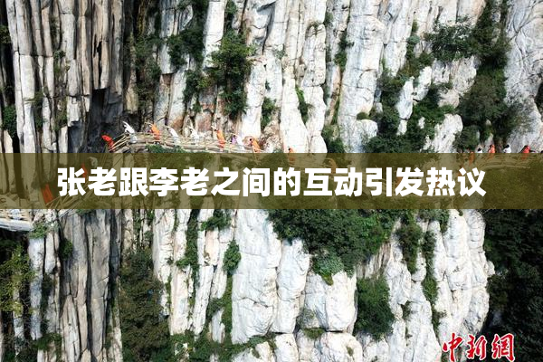 张老跟李老之间的互动引发热议