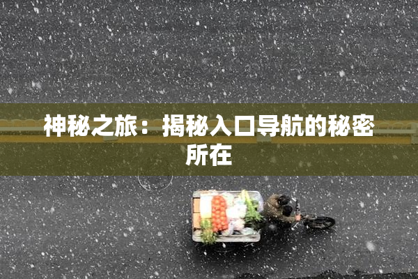 神秘之旅：揭秘入口导航的秘密所在