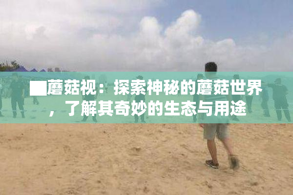 ▇蘑菇视：探索神秘的蘑菇世界，了解其奇妙的生态与用途