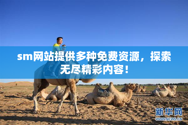 sm网站提供多种免费资源，探索无尽精彩内容！