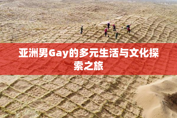 亚洲男Gay的多元生活与文化探索之旅