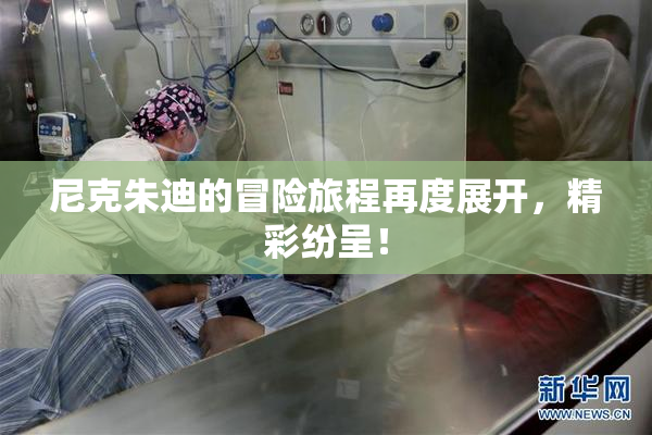 尼克朱迪的冒险旅程再度展开，精彩纷呈！