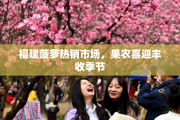 福建菠萝热销市场，果农喜迎丰收季节