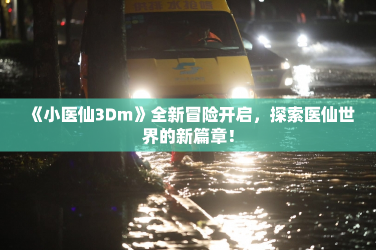 《小医仙3Dm》全新冒险开启，探索医仙世界的新篇章！