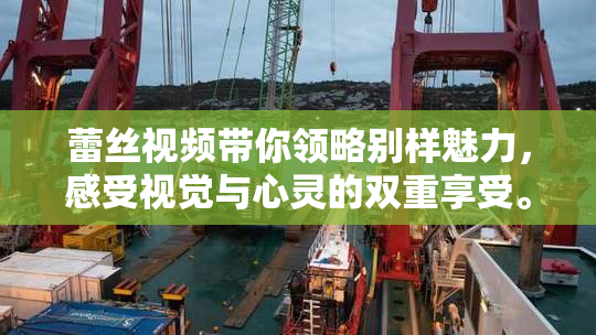 蕾丝视频带你领略别样魅力，感受视觉与心灵的双重享受。
