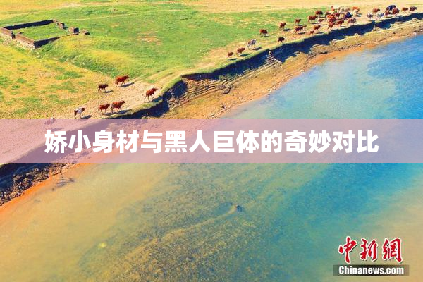 娇小身材与黑人巨体的奇妙对比