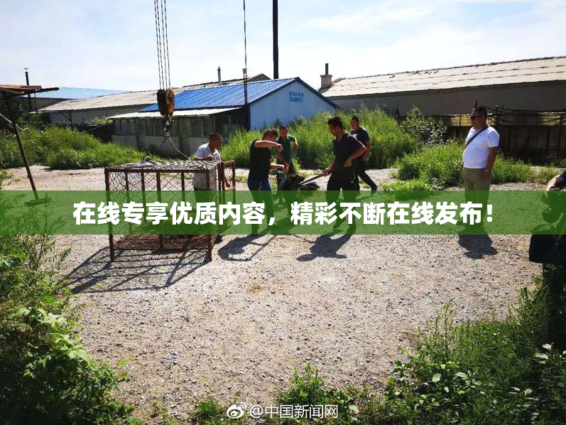 在线专享优质内容，精彩不断在线发布！
