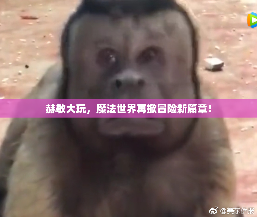 赫敏大玩，魔法世界再掀冒险新篇章！