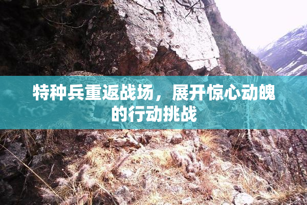 特种兵重返战场，展开惊心动魄的行动挑战