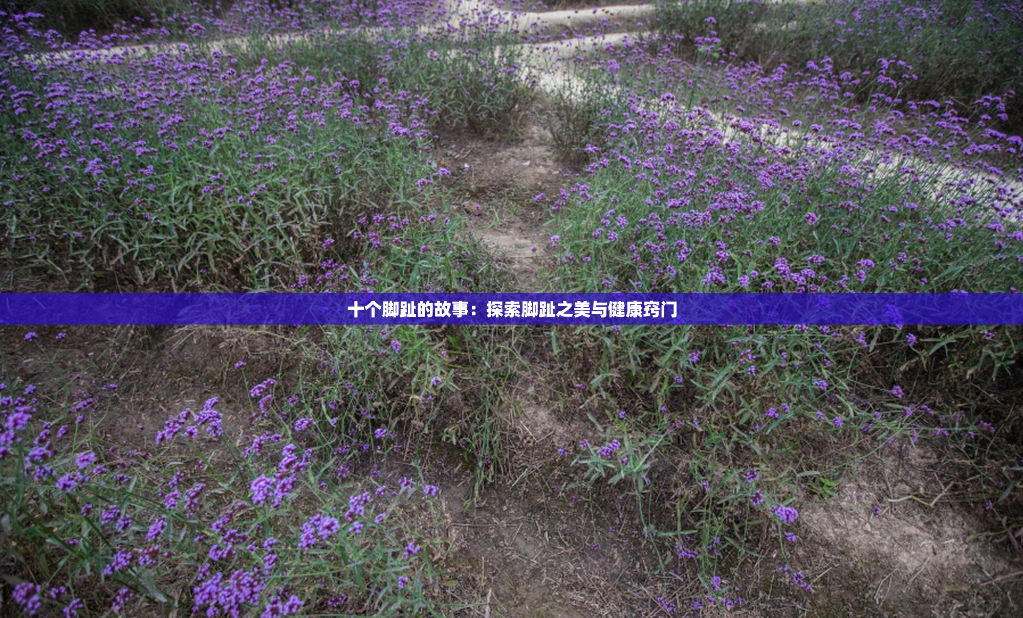 十个脚趾的故事：探索脚趾之美与健康窍门