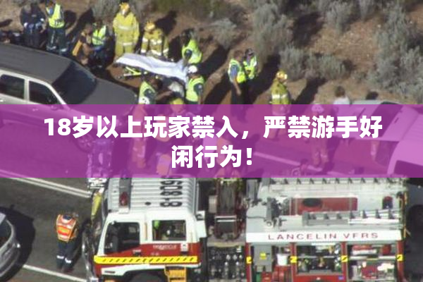 18岁以上玩家禁入，严禁游手好闲行为！