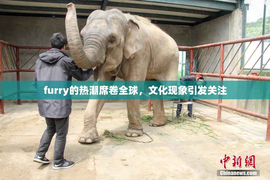 furry的热潮席卷全球，文化现象引发关注