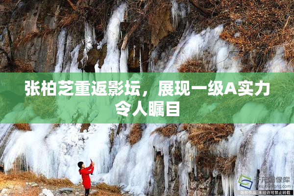 张柏芝重返影坛，展现一级A实力令人瞩目