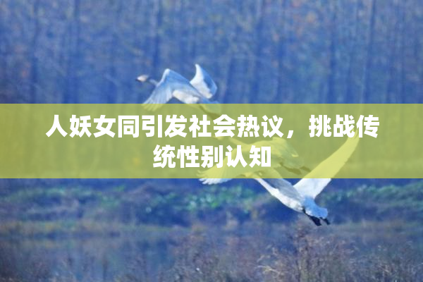 人妖女同引发社会热议，挑战传统性别认知