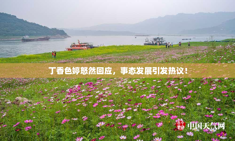 丁香色婷怒然回应，事态发展引发热议！