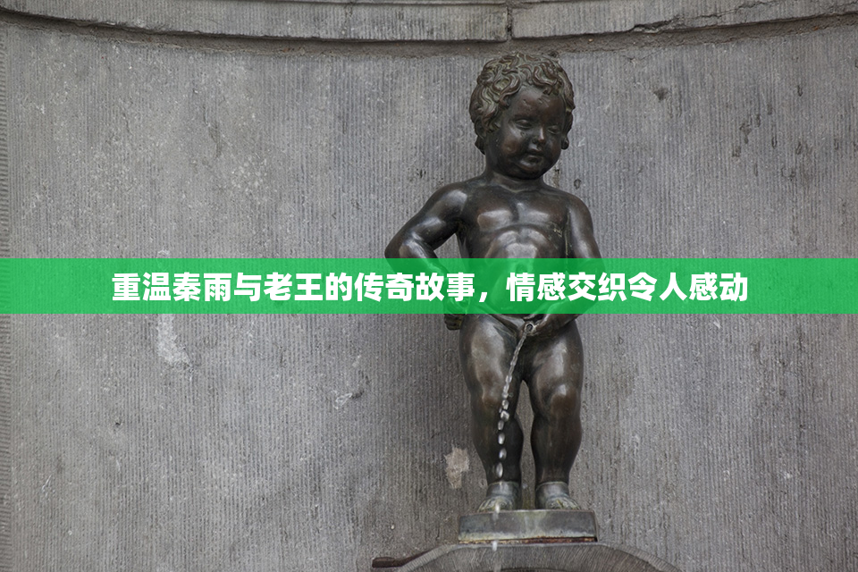 重温秦雨与老王的传奇故事，情感交织令人感动