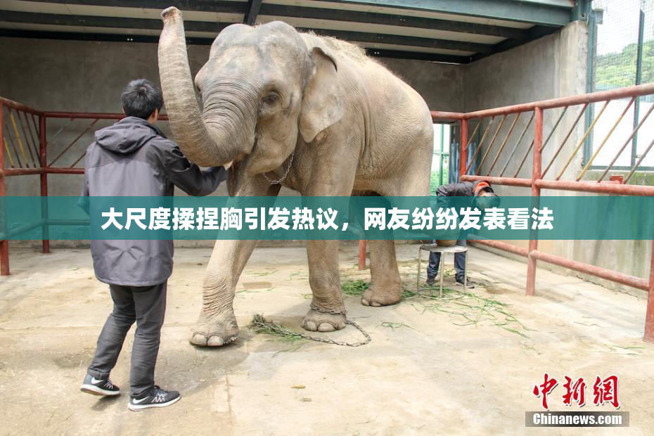 大尺度揉捏胸引发热议，网友纷纷发表看法