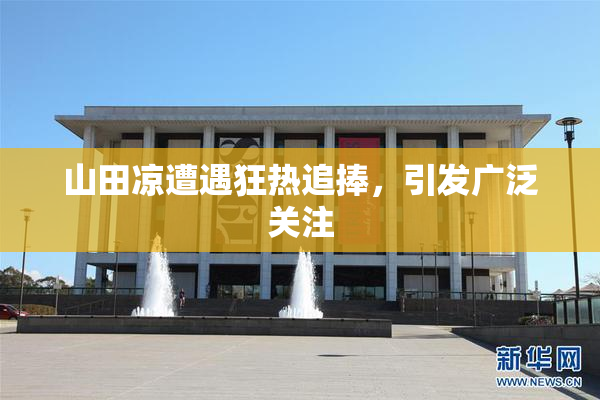 山田凉遭遇狂热追捧，引发广泛关注