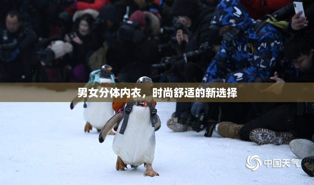 男女分体内衣，时尚舒适的新选择