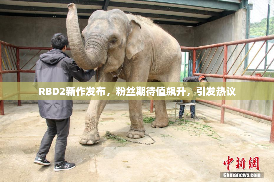 RBD2新作发布，粉丝期待值飙升，引发热议