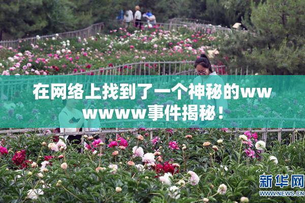 在网络上找到了一个神秘的wwwwww事件揭秘！