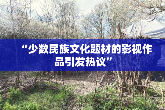 “少数民族文化题材的影视作品引发热议”