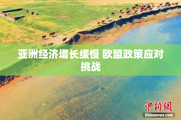 亚洲经济增长缓慢 欧盟政策应对挑战