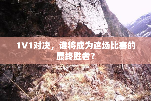 1V1对决，谁将成为这场比赛的最终胜者？