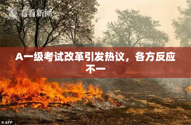 A一级考试改革引发热议，各方反应不一