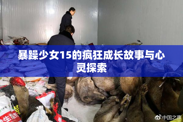 暴躁少女15的疯狂成长故事与心灵探索